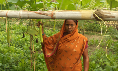 En Inde, Action for Social Advancement se mobilise pour l’agriculture biologique et l’accès à l’eau potable des populations marginalisées