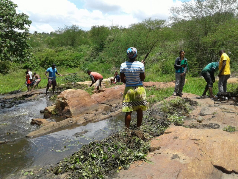 Humana People To People une coopérative agricole pour les femmes quilombolas