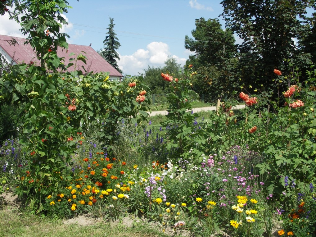L’institut Social Ecologique lance un projet pilote en Pologne pour soutenir les agriculteurs dans le processus de conversion à l’agriculture biologique