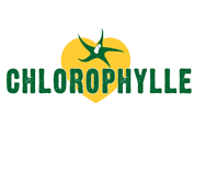 Le potager solidaire de l'association Chlorophylle 