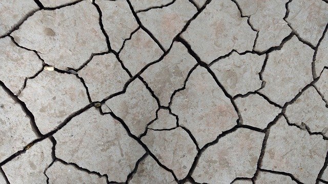 Emergency aid following deadly earthquake in Italy 