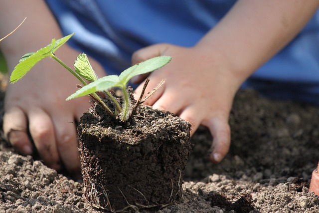 Results of the call for FOOD project proposals in Brazil