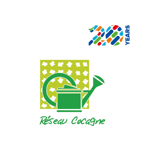 Logo RC 20 years