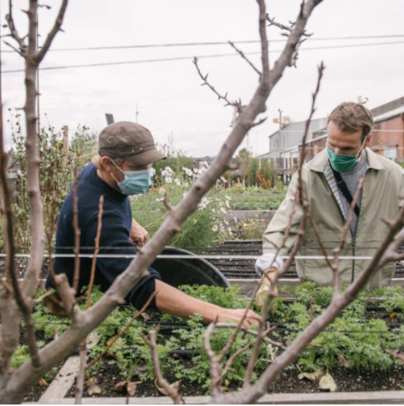 Illustration AFAUP
