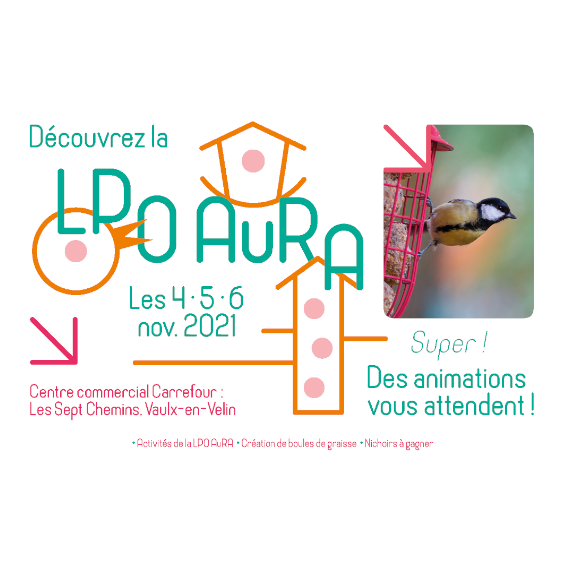 lpo aura