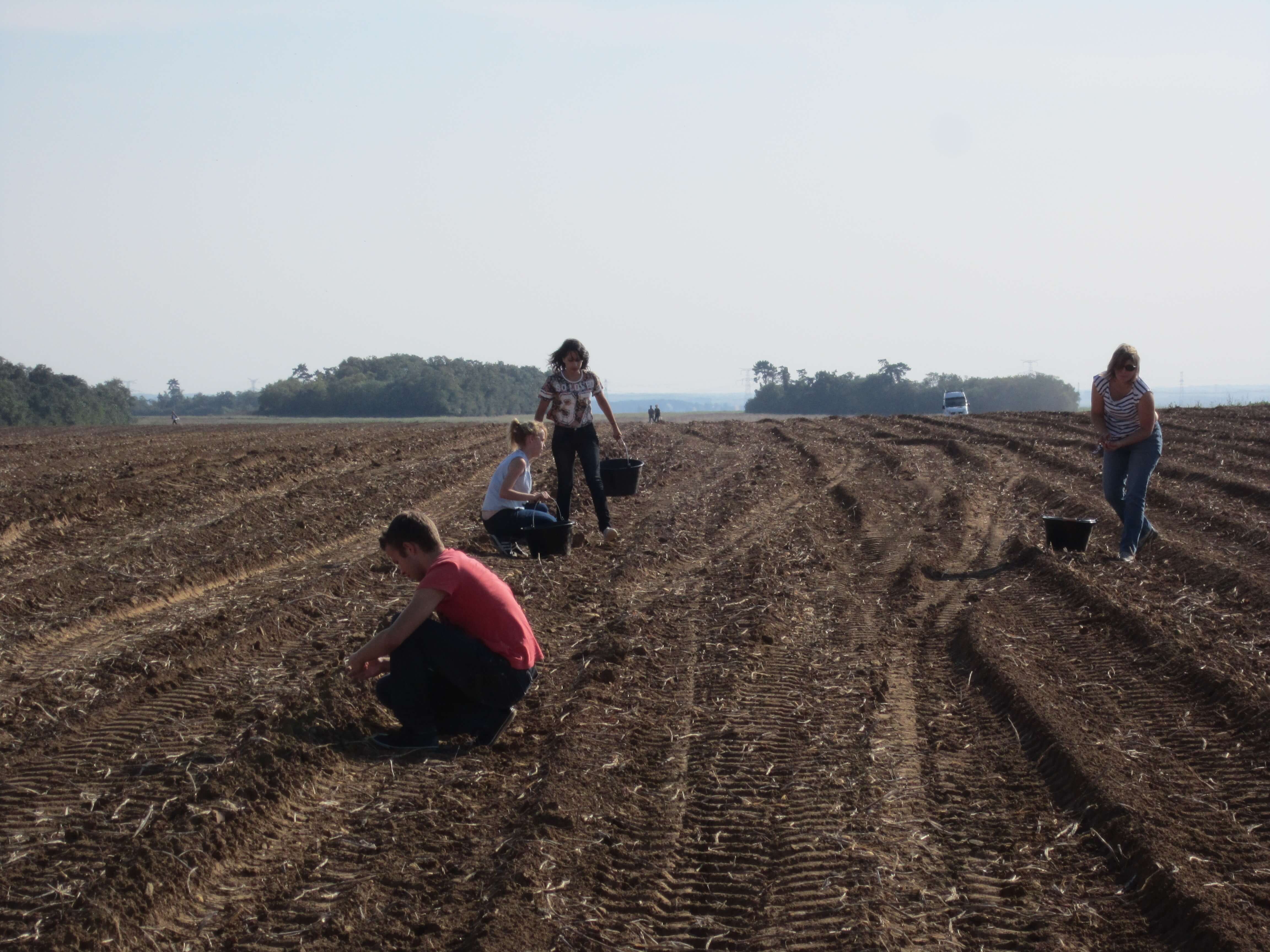 [Communiqué de presse] Une logistique solidaire pour les plus démunis en Bretagne