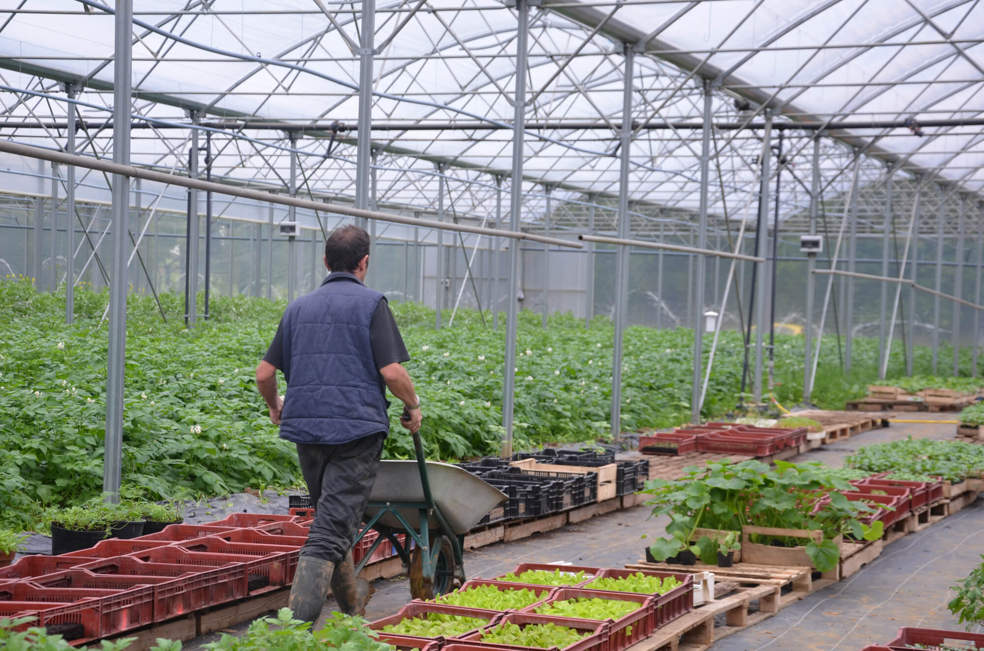 Visite des Jardins de Cocagne !